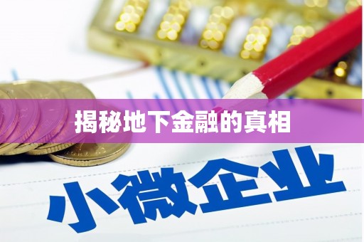 中西揭秘地下金融的真相
