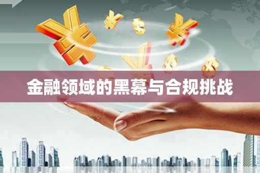 桑日金融领域的黑幕与合规挑战