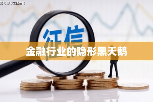 桑日金融行业的隐形黑天鹅