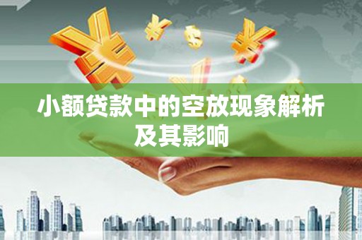 绥德小额贷款中的空放现象解析及其影响