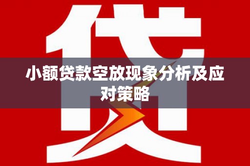 绥德小额贷款空放现象分析及应对策略