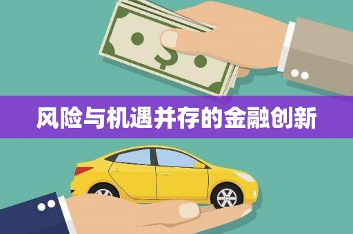 民雄风险与机遇并存的金融创新