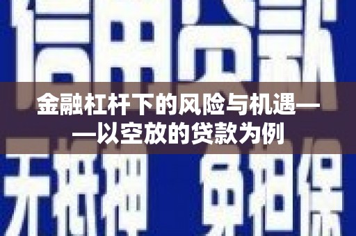 内丘金融杠杆下的风险与机遇——以空放的贷款为例