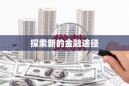 卢龙探索新的金融途径