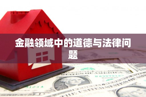 卢龙金融领域中的道德与法律问题