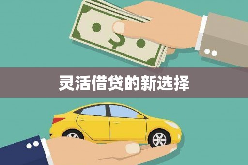 卢龙灵活借贷的新选择