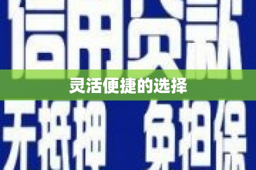 卢龙灵活便捷的选择