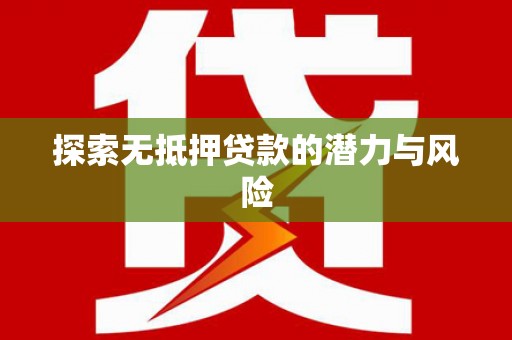 新民探索无抵押贷款的潜力与风险