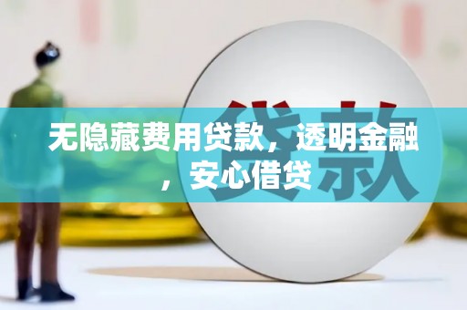 姚安无隐藏费用贷款，透明金融，安心借贷