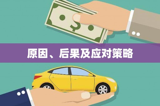 防城港原因、后果及应对策略