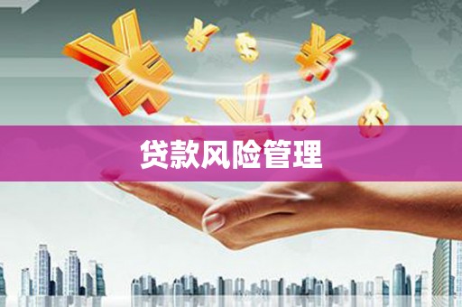 增城贷款风险管理