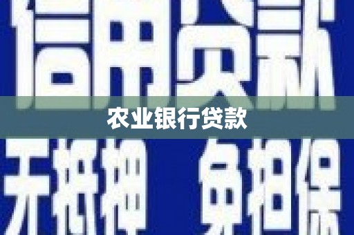 库车农业银行贷款
