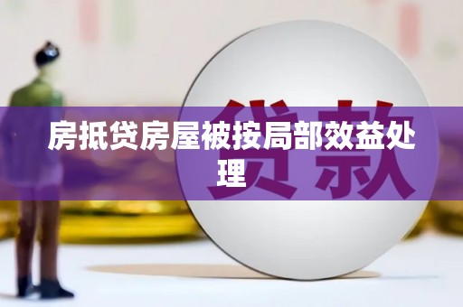 夏邑房抵贷房屋被按局部效益处理