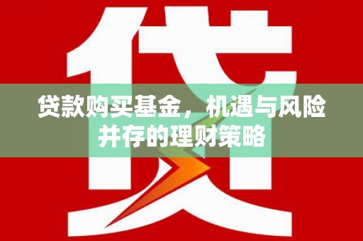 文山贷款购买基金，机遇与风险并存的理财策略
