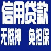 凉城私人借钱